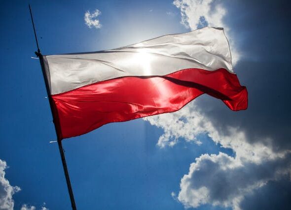 Polnisch lernen in Deutschland